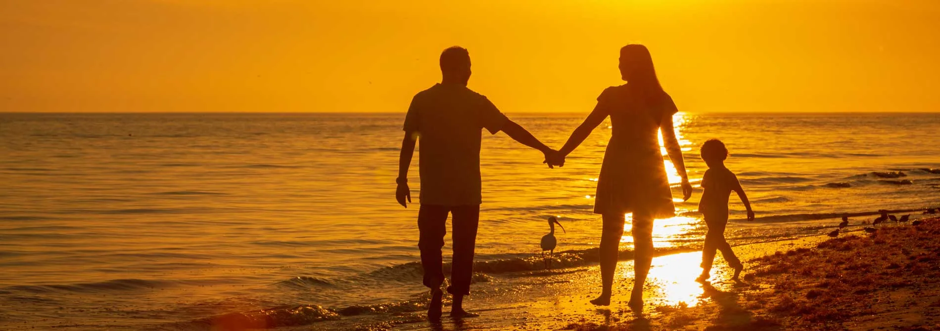 family on the beach at sunrise